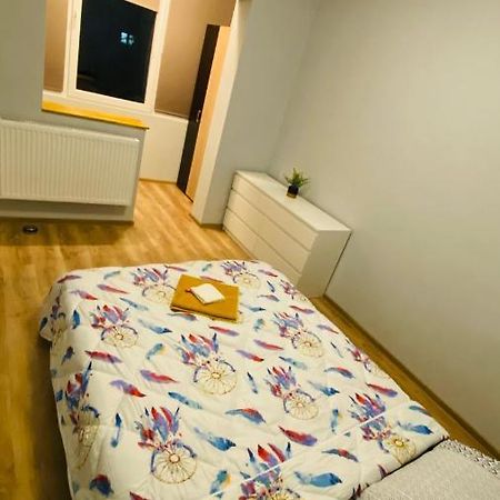 Dacia Apartment 티미쇼아라 외부 사진