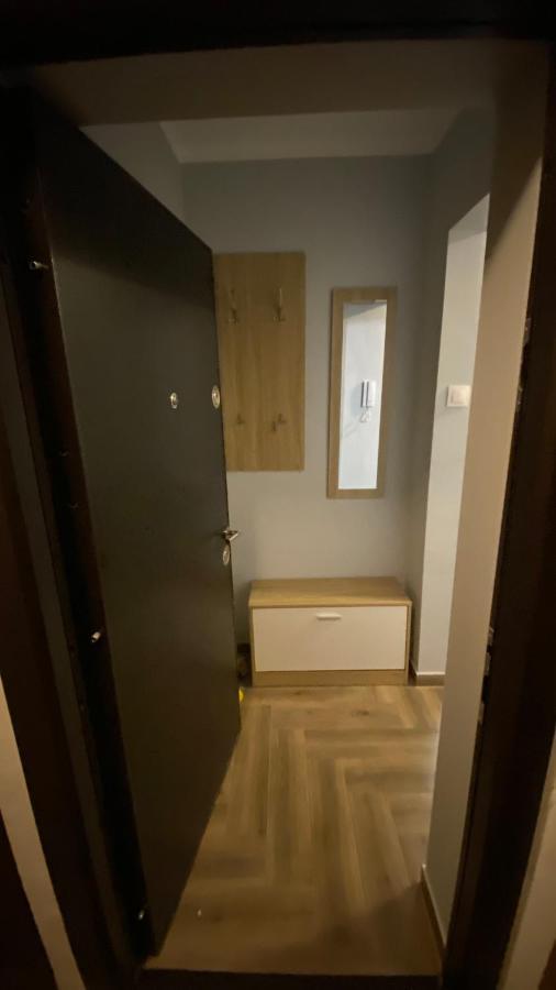 Dacia Apartment 티미쇼아라 외부 사진