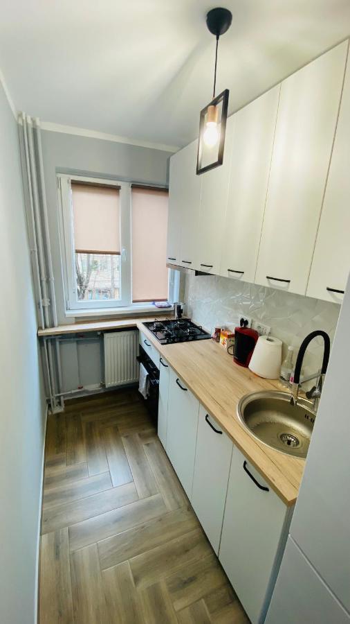 Dacia Apartment 티미쇼아라 외부 사진