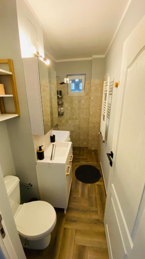 Dacia Apartment 티미쇼아라 외부 사진